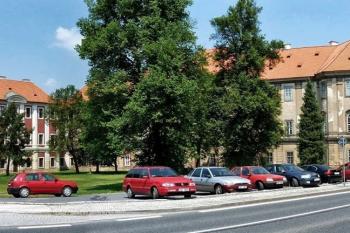  (© František Kinař, 08/2013)