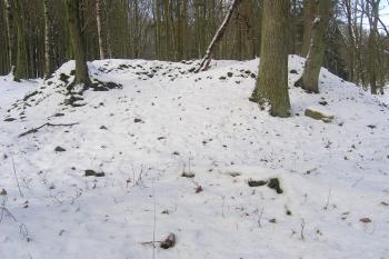 Pahorek tvrziště ( © Martin Kabeláč 12/2005)