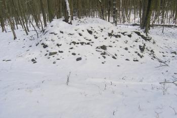 Pahorek tvrziště ( © Martin Kabeláč 12/2005)