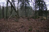 Mydlná