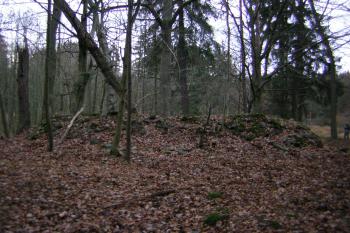  (© Tomáš Mařík, 11/2007)