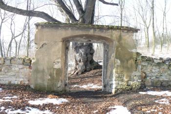 (© Prudký Martin, 02/2010)