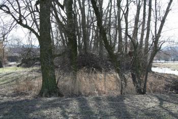 Pohled na tvrziště ze severu ( © Petr Nožička 03/2010)