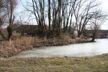 Dochovaný vodní příkop s tvrzištěm ( © Petr Nožička 03/2010)