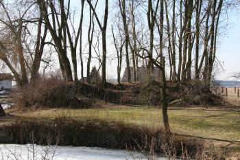 Pohled z východu na hmotu tvrziště ( © Petr Nožička 03/2010)
