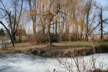 Pohled z východu ( © Petr Nožička 03/2010)