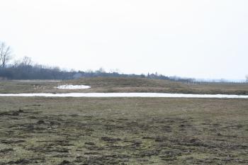 Pohled na tvrziště od severu ( © Petr Nožička 03/2010)