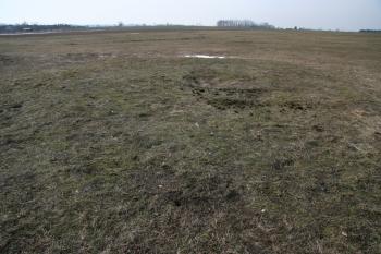 Horní plocha pahorku tvrziště ( © Petr Nožička 03/2010)