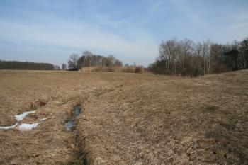 Severozápadní část příkopu ( © Petr Nožička 03/2010)