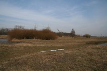 Pohled na tvrziště přes tři příkopy ( © Petr Nožička 03/2010)