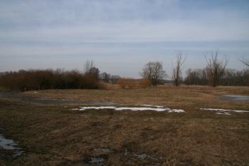 Pohled na centrální plochu tvrziště ( © Petr Nožička 03/2010)