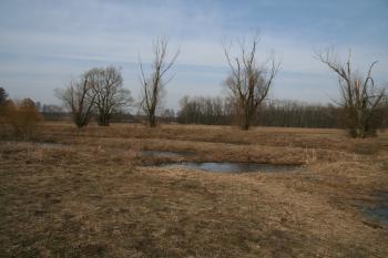 SV příkopy ( © Petr Nožička 03/2010)