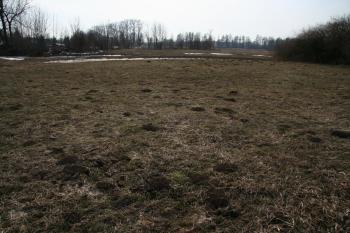 Plocha vnitřního tvrziště ( © Petr Nožička 03/2010)