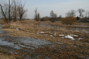 Příkopy s valem ( © Petr Nožička 03/2010)