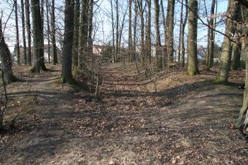 Novodobý 