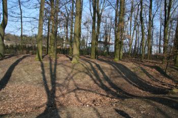 Plocha tvrziště ( © Petr Nožička 03/2010)