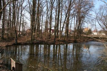Východní příkop a část tvrziště ( © Petr Nožička 03/2010)