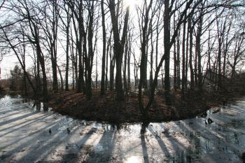SV příkop a část tvrziště ( © Petr Nožička 03/2010)