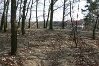 Stehelčeves