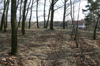 Vrchol kopce (© Prudký Martin, 03/2010)