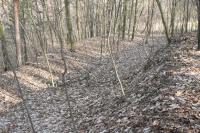 Stehelčeves