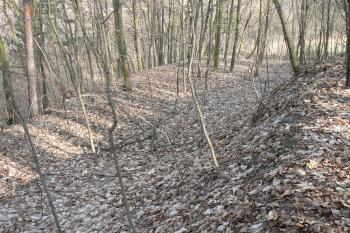  (© Prudký Martin, 03/2010)