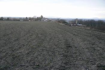 Jižní okraj části hradiště U Točánků (© Prudký Martin, 03/2010)