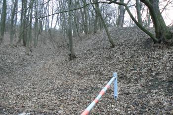 Pohled z jihu na příkop na jihovýchodě v části U Točánků (© Prudký Martin, 03/2010)