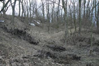 Příkop severně od středověkého hradu Šebína (© Prudký Martin, 03/2010)