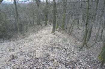 Val na východní straně směrem k Šebínu (© Prudký Martin, 03/2010)