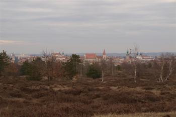 Vrbkův kámen (© Hračkář, 03/2010)