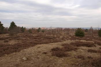 Vrbkův kámen (© Hračkář, 03/2010)