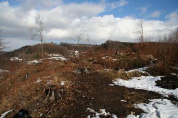 Pohled na plochu hradu, v pozadí hrad Lanšperk ( © Petr Nožička 03/2012)
