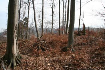 Fotka hradiště přes příkop ( © Petr Nožička 03/2010)