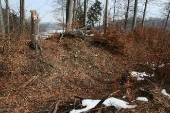 Hradiště foceno z příkopu ( © Petr Nožička 03/2010)