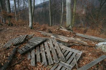 Plocha hradiště ( © Petr Nožička 03/2010)