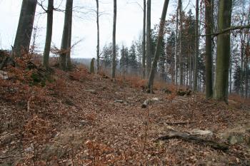  ( © Petr Nožička 03/2010)