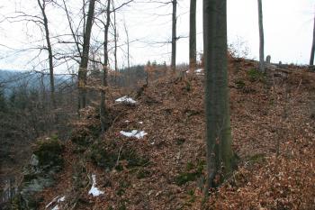 Čelo ostrohu hradiště ( © Petr Nožička 03/2010)