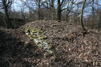 Obvodová zeď tvrze ( © Petr Nožička 03/2012)