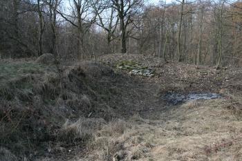Obvodová zeď tvrze ( © Petr Nožička 03/2012)