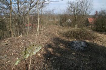 Obvodová zeď tvrze ( © Petr Nožička 03/2012)