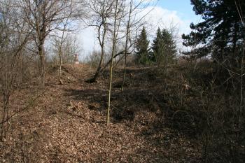 Tvrziště z příkopu ( © Petr Nožička 03/2012)