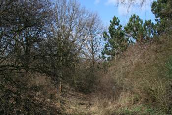 Příkop ( © Petr Nožička 03/2012)
