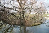 Libčany