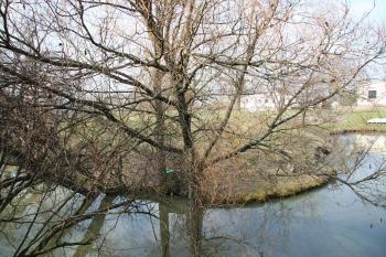 Vodní příkop a tvrziště ( © Petr Nožička 03/2010)