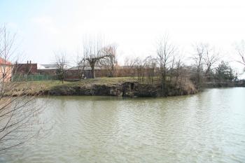 Tvrziště se sklípkem ( © Petr Nožička 03/2010)