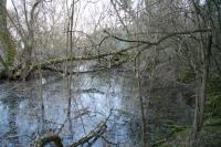 Přestavlky