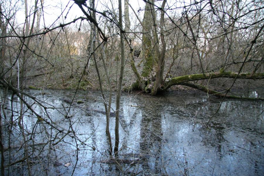Přestavlky