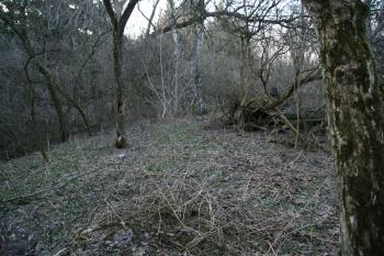 Vlastní plocha tvrziště ( © Petr Nožička 03/2010)