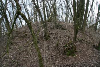 Tvrziště ( © Petr Nožička 03/2010)